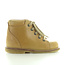 Angulus 2361 camel