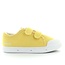 springcourt Mimosa jaune scratch G2