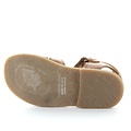 Zecchino d'oro A31-3106 2502 cognac