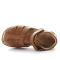 Zecchino d'oro A31-3106 2502 cognac