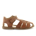 Zecchino d'oro A31-3106 2502 cognac