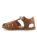 Zecchino d'oro A31-3106 2502 cognac