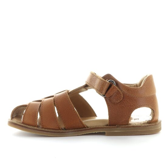Zecchino d'oro A31-3106 2502 cognac