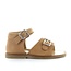 Zecchino d'oro A23-2433 1645 camel