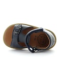 Pom d'api poppy easy marine
