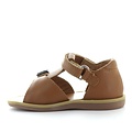 Pom d'api poppy easy camel