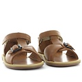 Pom d'api poppy easy camel