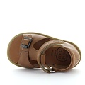 Pom d'api poppy easy camel
