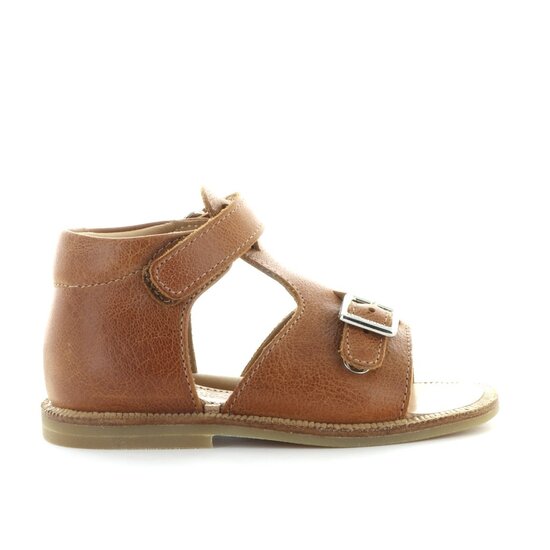 Zecchino d'oro A23-2456 2502 cognac