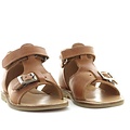 Zecchino d'oro A23-2456 2502 cognac