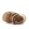 Zecchino d'oro A23-2456 2502 cognac