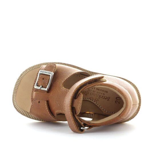 Zecchino d'oro A23-2456 2502 cognac