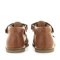 Zecchino d'oro A23-2456 2502 cognac