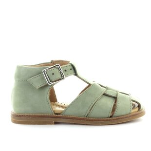 A01-065 9311 1981 olive green