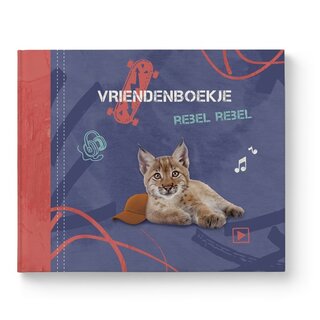 Vriendenboekje rebel rebel -boys