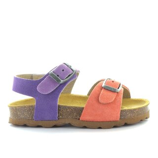 10273-30 coral lavanda