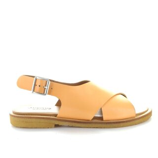 4461-102 apricot