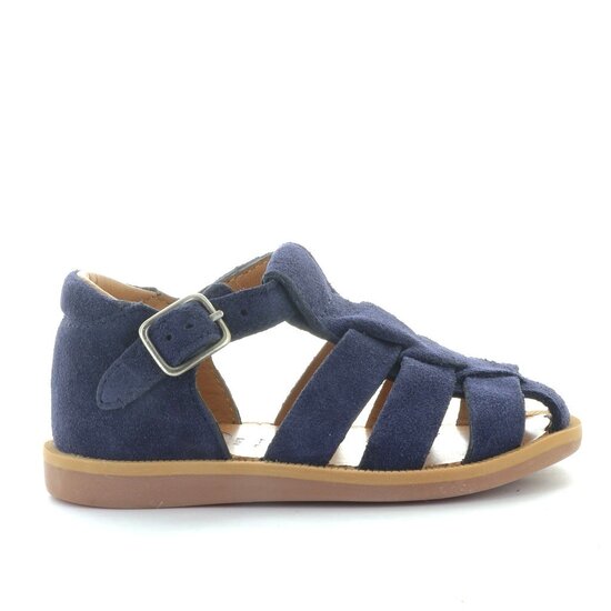 Pom d'api Poppy daddy marine