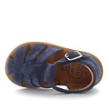 Pom d'api Poppy daddy marine