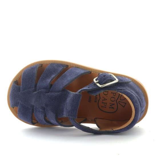 Pom d'api Poppy daddy marine