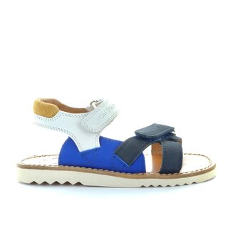 waff jimy navy blue
