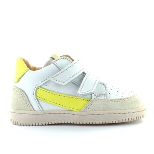 971 yogurt optical citron