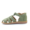 Pom d'api Poppy daddy kaki