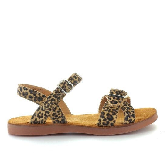 Pom d'api Plage air crossy leo sahara