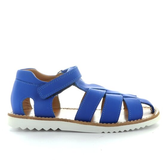 Pom d'api waff papy gummy blue
