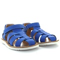 Pom d'api waff papy gummy blue