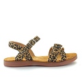 Pom d'api Plage air crossy leo sahara