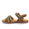 Pom d'api Plage air crossy leo sahara