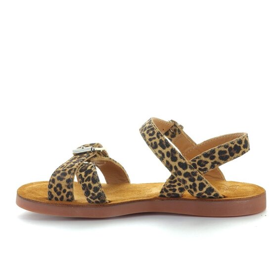 Pom d'api Plage air crossy leo sahara