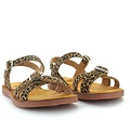Pom d'api Plage air crossy leo sahara