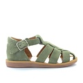 Pom d'api Poppy daddy kaki