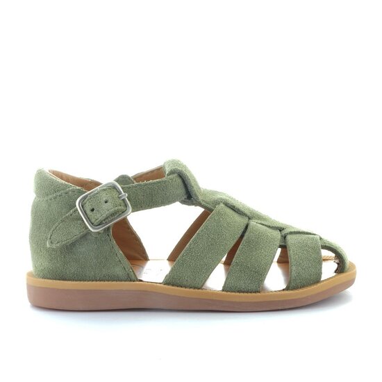 Pom d'api Poppy daddy kaki