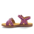 Pom d'api Plage air crossy leo rosa