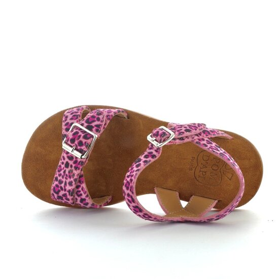 Pom d'api Plage air crossy leo rosa