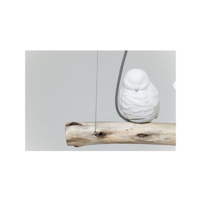 Pendant Lamp Dining Birds