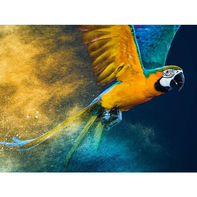 Glass Art Parrot round 100