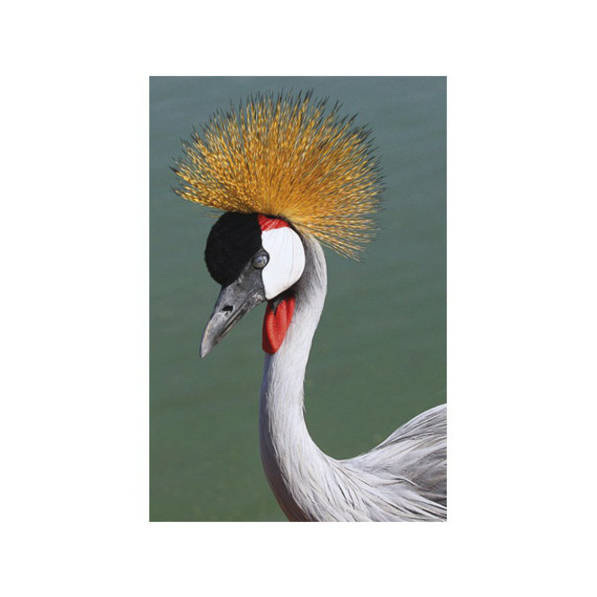 Alu Art Crowned Crane