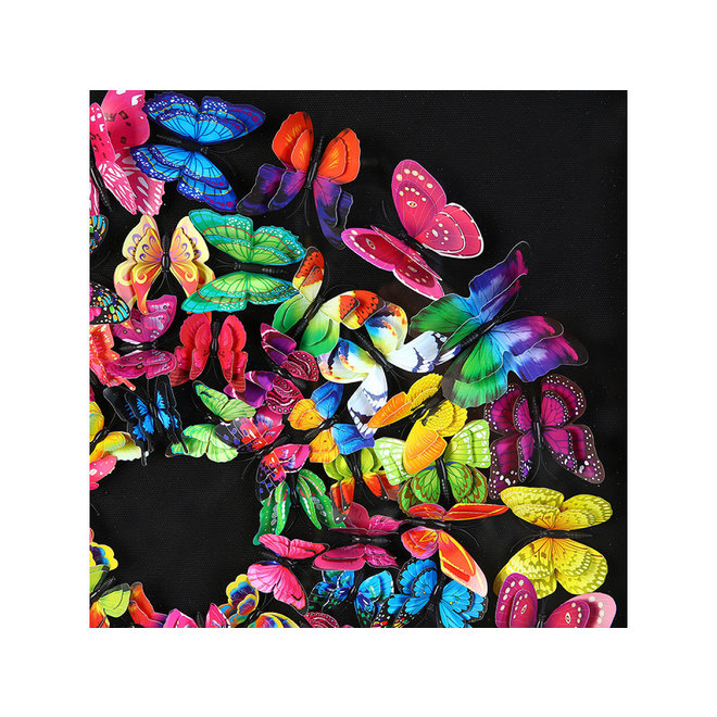 Swarm of Colored Butterflies in 3D, framed in black 60x60