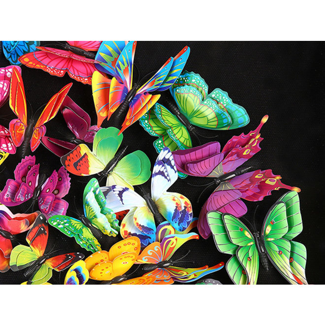 Swarm of Colored Butterflies in 3D, framed in black 60x60