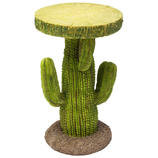Side Table Cactus