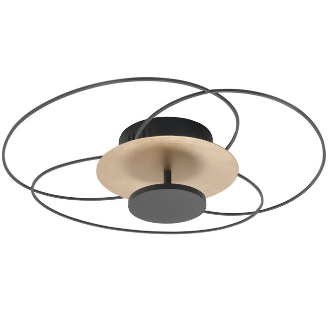 Plafonnière Fiore goud