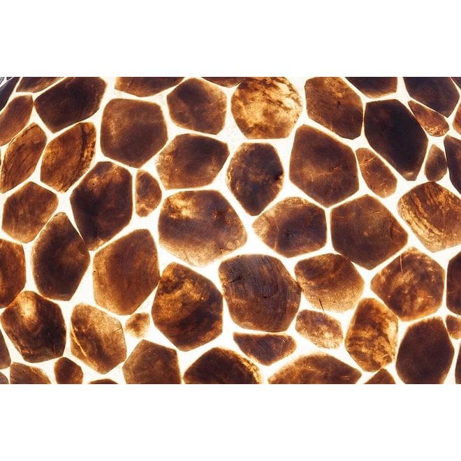 Villaflor schelpenlamp - Turtle - vloerlamp - Apollo - 200 cm