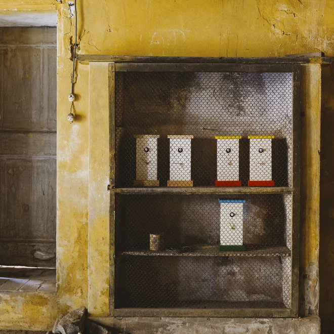 Domeniconi Koekoeksklok Supercucu, Blauw/Wit/Groen