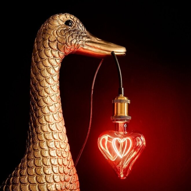 Lamp Ducky