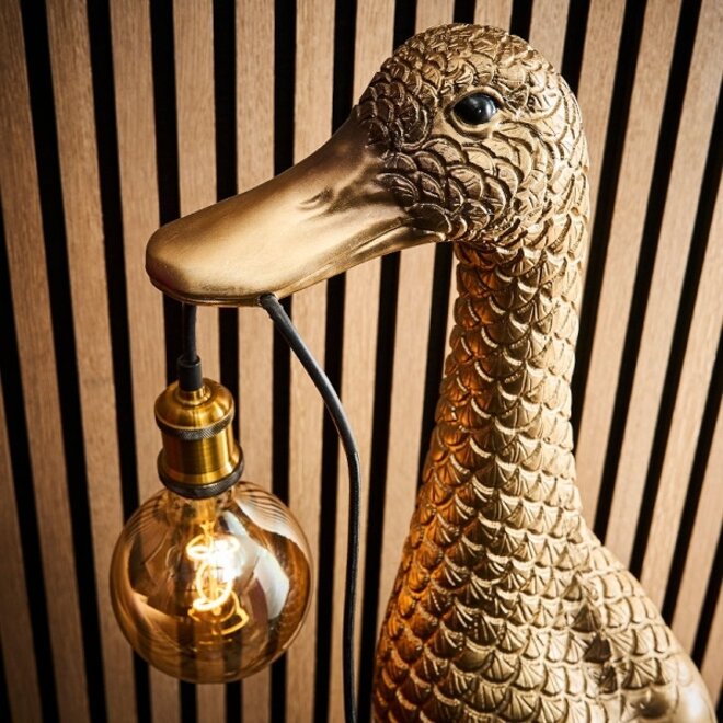 Lamp Ducky