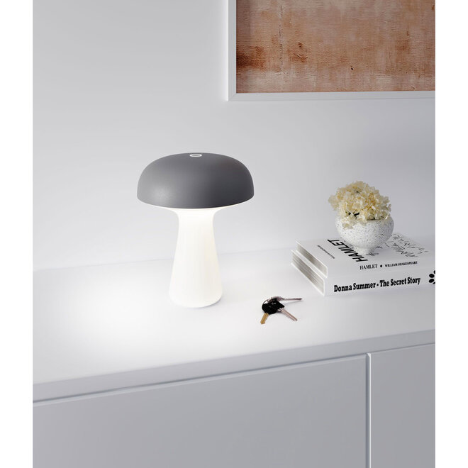 Oplaadbare LED Tafellamp MY, antraciet